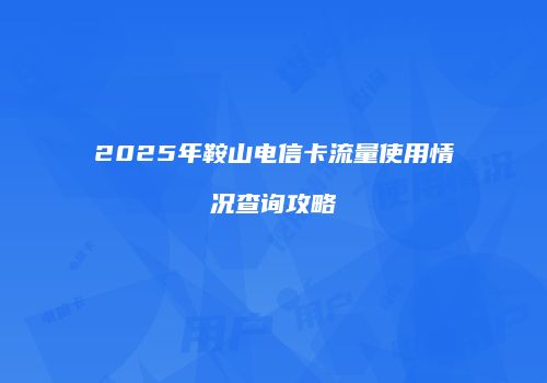 2025年鞍山电信卡流量使用情况查询攻略