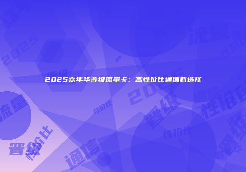 2025嘉年华晋级流量卡：高性价比通信新选择