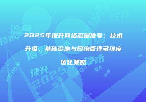 2025年提升网络流量信号:技术升级、基础设施与网络管理多维度优化策略