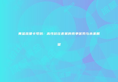 黄金流量卡号码：高性价比套餐的竞争优势与未来展望