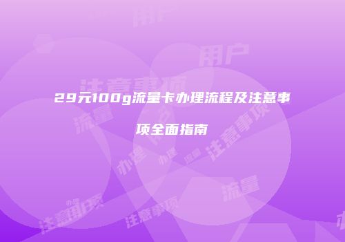 29元100g流量卡办理流程及注意事项全面指南