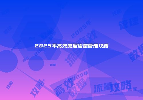 2025年高效数据流量管理攻略