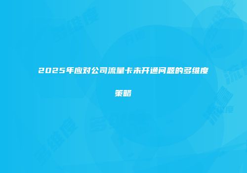 2025年应对公司流量卡未开通问题的多维度策略