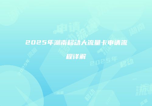 2025年湖南移动大流量卡申请流程详解