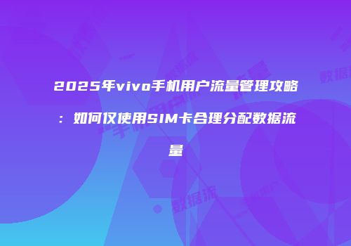 2025年vivo手机用户流量管理攻略：如何仅使用SIM卡合理分配数据流量