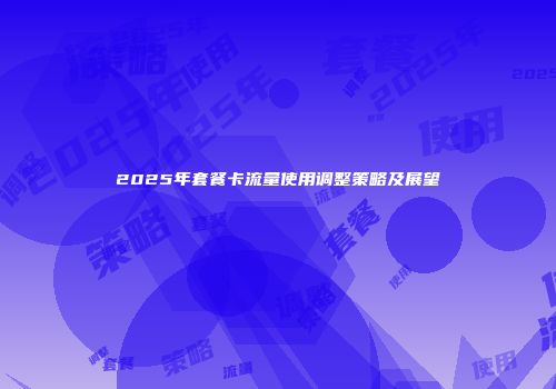 2025年套餐卡流量使用调整策略及展望