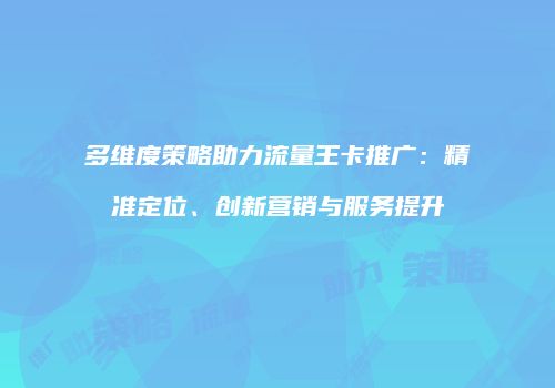 多维度策略助力流量王卡推广:精准定位、创新营销与服务提升