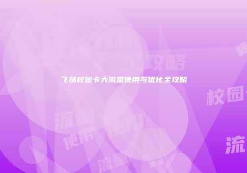 飞扬校园卡大流量使用与优化全攻略