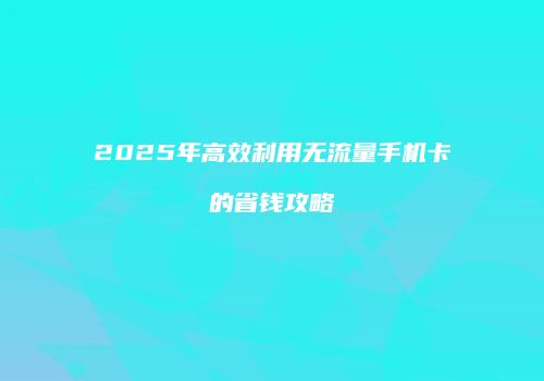 2025年高效利用无流量手机卡的省钱攻略