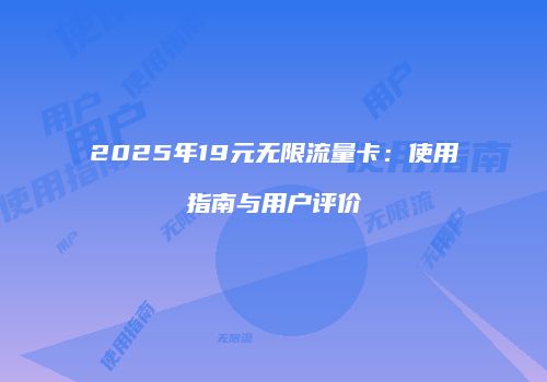 2025年19元无限流量卡：使用指南与用户评价