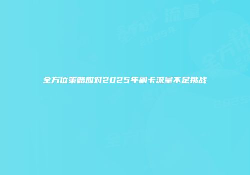 全方位策略应对2025年副卡流量不足挑战
