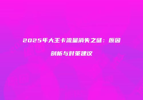 2025年大王卡流量消失之谜:原因剖析与对策建议