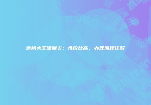 惠州大王流量卡：性价比高，办理流程详解