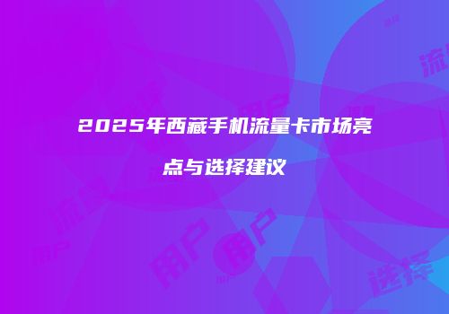 2025年西藏手机流量卡市场亮点与选择建议