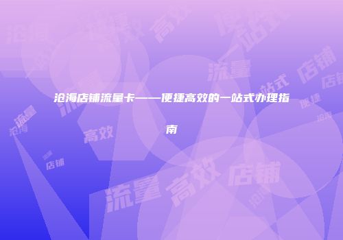 沧海店铺流量卡——便捷高效的一站式办理指南