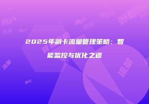 2025年副卡流量管理策略：智能监控与优化之道