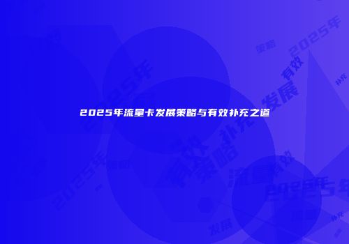 2025年流量卡发展策略与有效补充之道