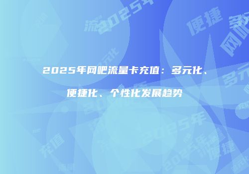 2025年网吧流量卡充值:多元化、便捷化、个性化发展趋势