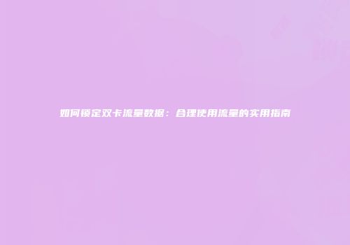如何锁定双卡流量数据:合理使用流量的实用指南