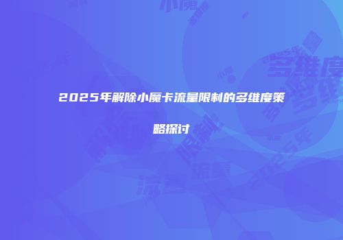 2025年解除小魔卡流量限制的多维度策略探讨