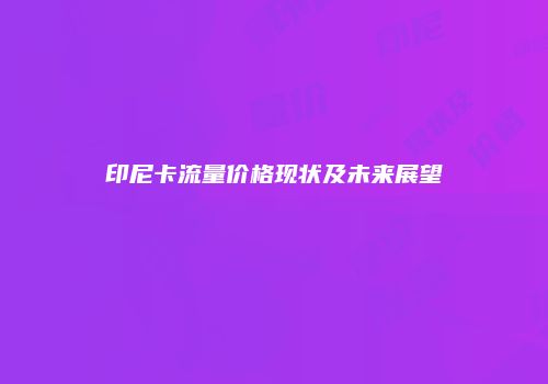 印尼卡流量价格现状及未来展望