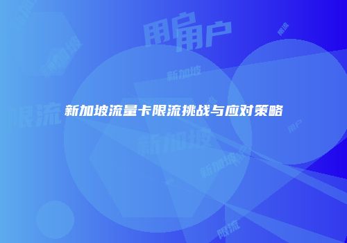 新加坡流量卡限流挑战与应对策略