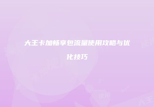 大王卡加畅享包流量使用攻略与优化技巧