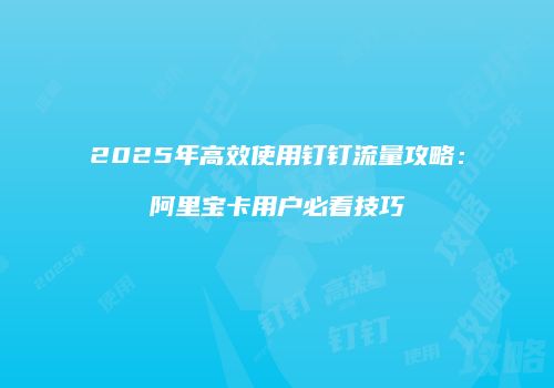 2025年高效使用钉钉流量攻略：阿里宝卡用户必看技巧