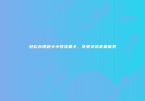 轻松办理副卡小号流量卡，享受灵活套餐服务