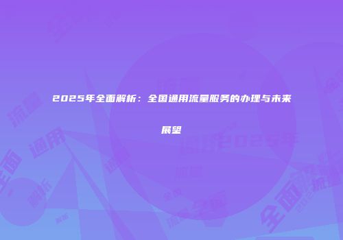 2025年全面解析:全国通用流量服务的办理与未来展望