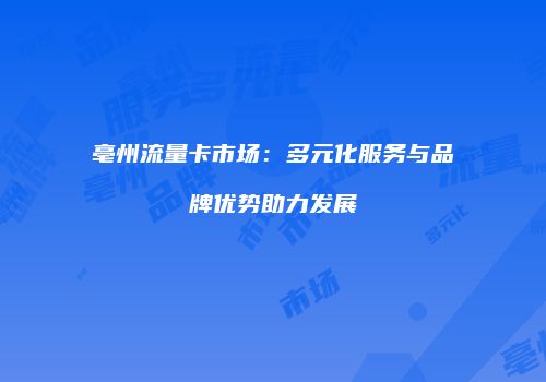 亳州流量卡市场：多元化服务与品牌优势助力发展