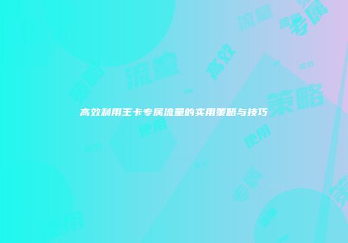 高效利用王卡专属流量的实用策略与技巧