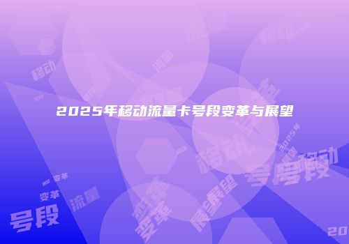 2025年移动流量卡号段变革与展望