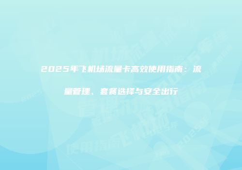 2025年飞机场流量卡高效使用指南：流量管理、套餐选择与安全出行