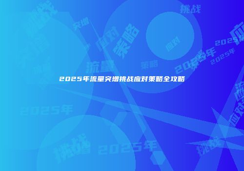 2025年流量突增挑战应对策略全攻略