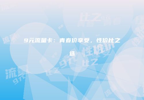 9元流量卡:青春价享受,性价比之选