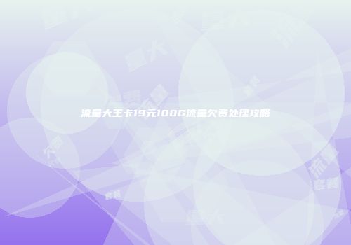 流量大王卡19元100G流量欠费处理攻略