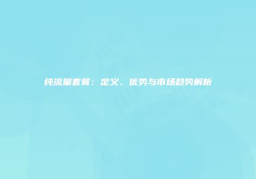 纯流量套餐：定义、优势与市场趋势解析