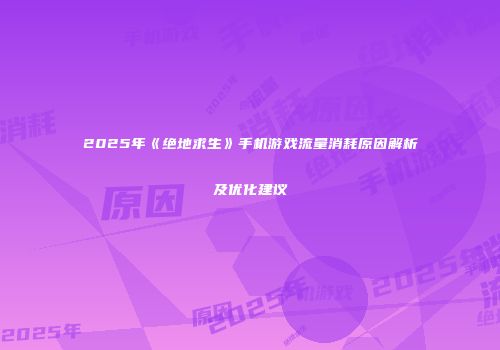 2025年《绝地求生》手机游戏流量消耗原因解析及优化建议