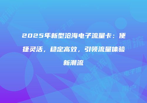 2025年新型沧海电子流量卡：便捷灵活，稳定高效，引领流量体验新潮流