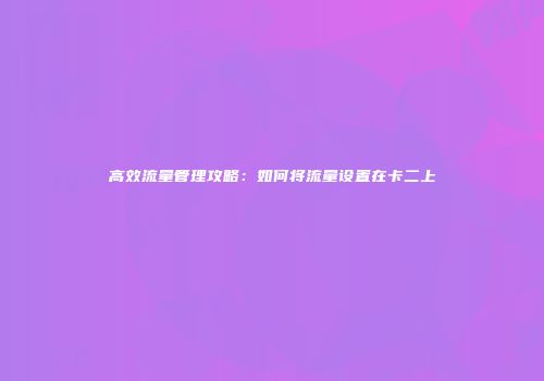 高效流量管理攻略：如何将流量设置在卡二上