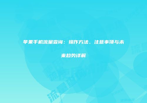 苹果手机流量查询：操作方法、注意事项与未来趋势详解