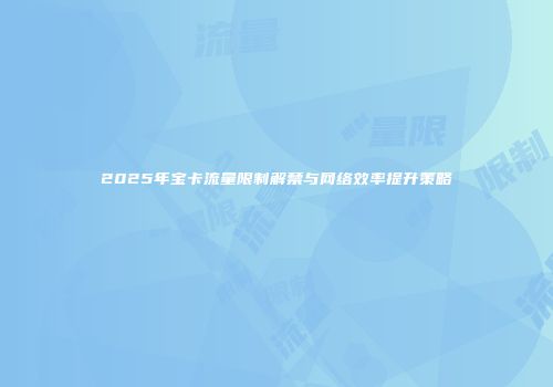 2025年宝卡流量限制解禁与网络效率提升策略