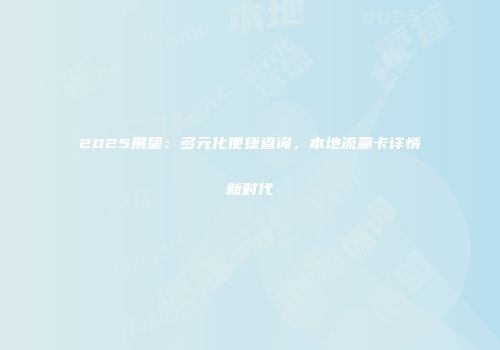 2025展望：多元化便捷查询，本地流量卡详情新时代