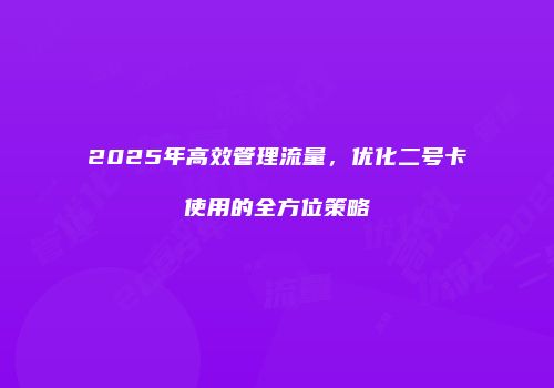 2025年高效管理流量，优化二号卡使用的全方位策略