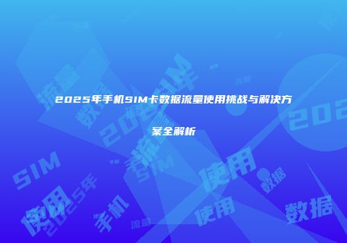 2025年手机SIM卡数据流量使用挑战与解决方案全解析