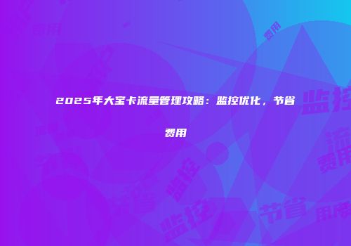 2025年大宝卡流量管理攻略:监控优化,节省费用