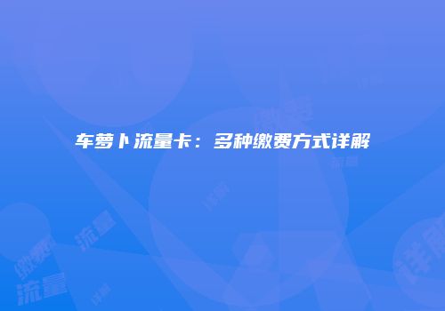 车萝卜流量卡:多种缴费方式详解