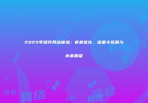2025年提升网络体验：套餐优化、流量卡拓展与未来展望