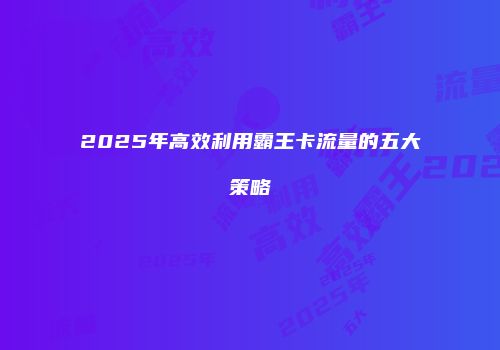 2025年高效利用霸王卡流量的五大策略